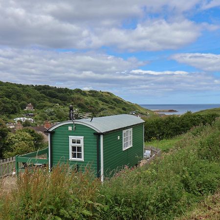 Lady Bird Retreat Villa Saltburn-by-the-Sea Exteriör bild